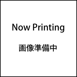 8POTブレーキキャリパー